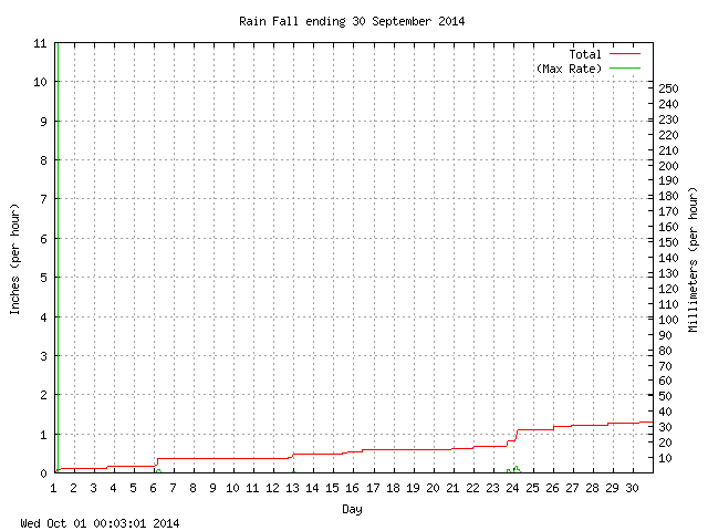 rain Graph