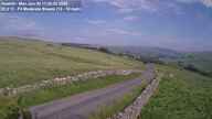 Webcam Thumbnail